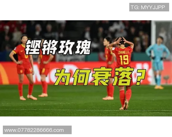 魏姓足球明星的辉煌历程与成就探秘